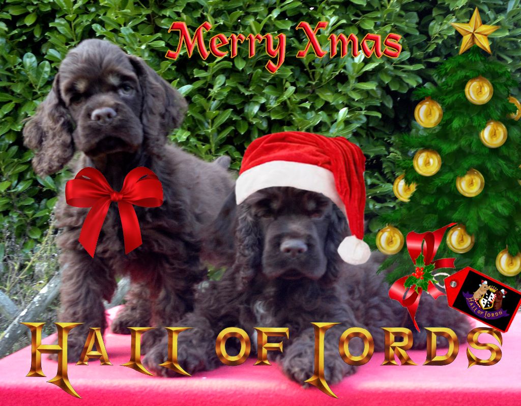 Hall Of Lords - Joyeux Noël ! Et Bonne Année 2021 !!!