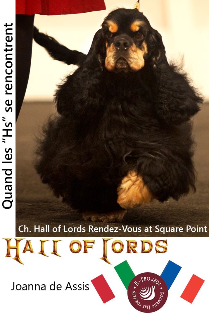 Hall Of Lords - Quand les 