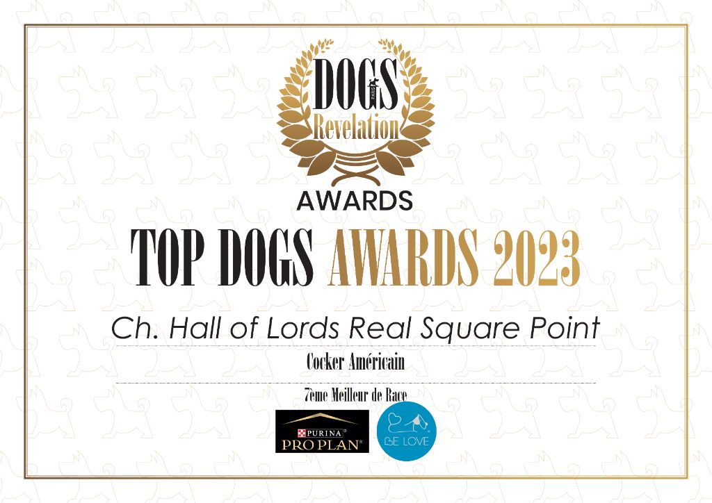 CH. Hall Of Lords Real square point