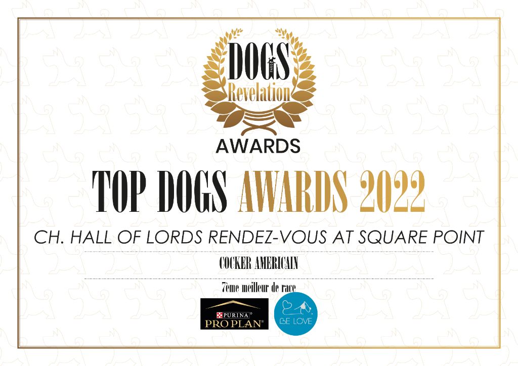 CH. Hall Of Lords Rendez-vous at square point