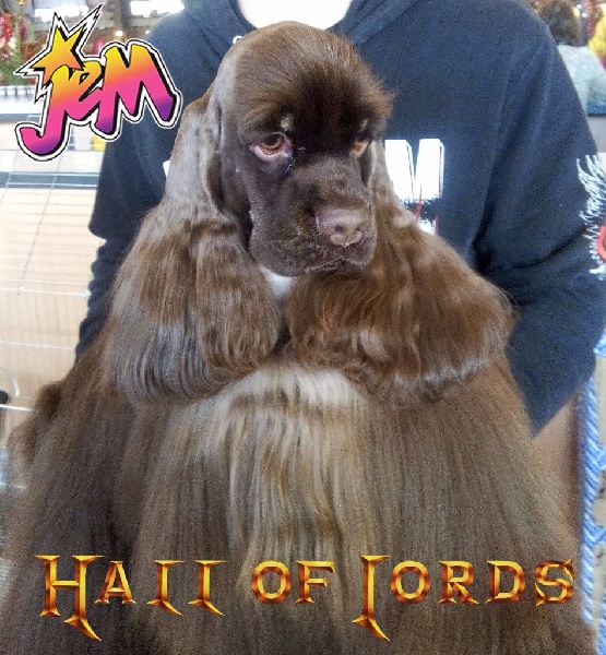 Hall Of Lords Jam the starlight