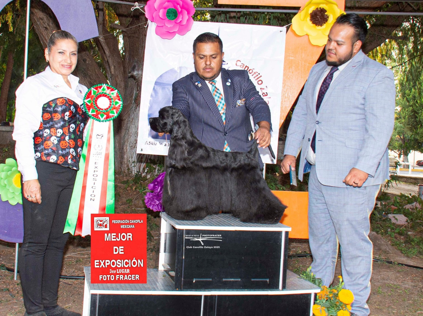 Hall Of Lords - Notre Multi Ch. Hall of Lords Vortex and the Storm est le Meilleur de Race en Mexique pour l'année 2025 !