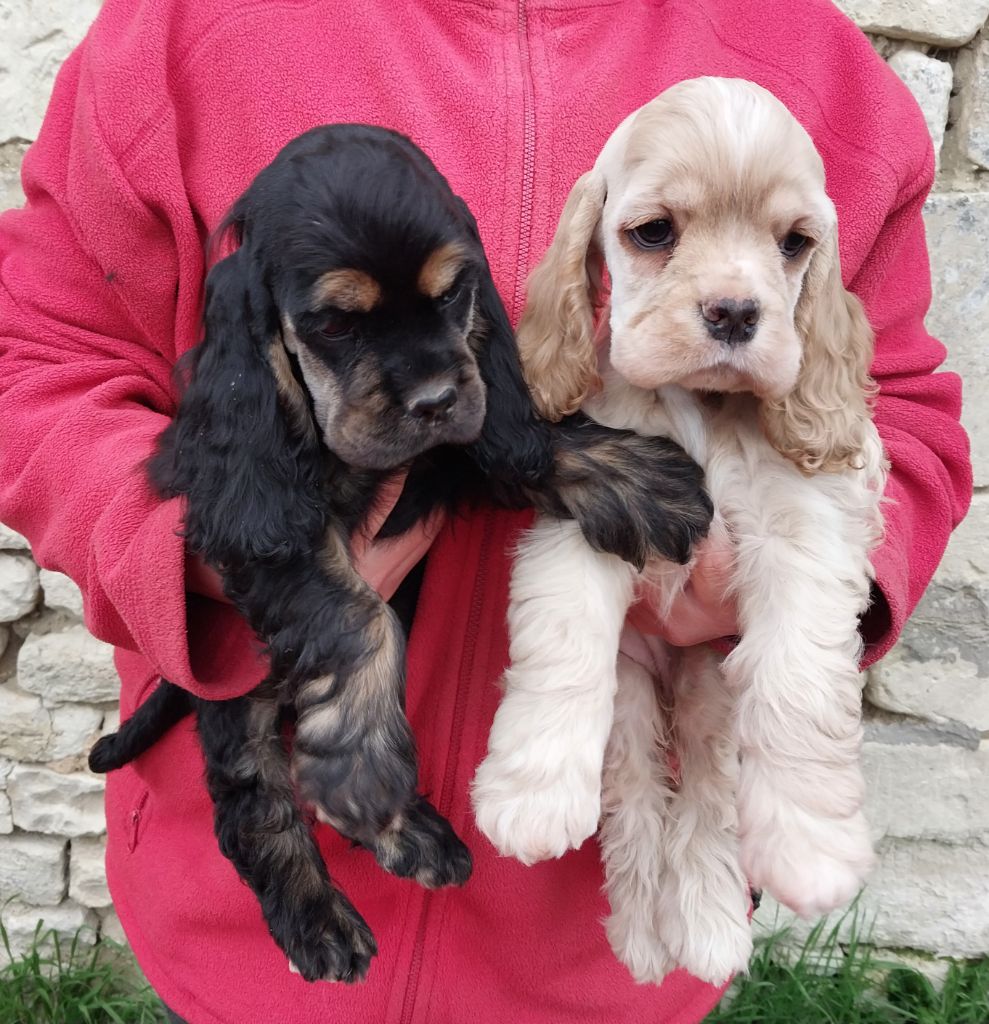 2 jolies filles disponibles !